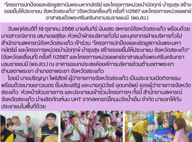 โครงการปกป้องและเชิดชูสถาบันพระมหากษัตริย์ ... พารามิเตอร์รูปภาพ 10